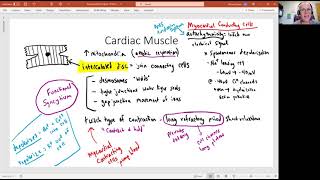 Biology 2020 The Heart Cardiac Muscle Video 3 [upl. by Button]