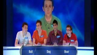 Eggheads Vs Shabba [upl. by Anileve66]