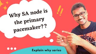 SA node is the primary pacemaker WHY [upl. by Hadwyn201]