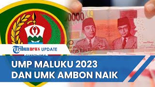 UMP Provinsi Maluku 2023 Naik 739 Persen Jadi Rp 2812827 UMK Kota Ambon Menjadi Rp 2811111 [upl. by Shelia]