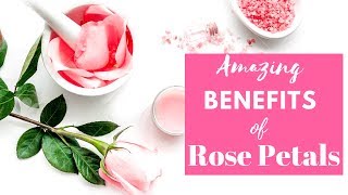 6 Unbelievable Health Benefits Of Rose Petals [upl. by Dressel]