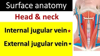 Surface marking of internal and external jugular vein [upl. by Ennairac219]