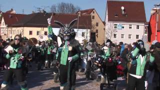 Narrentreffen Rottenburg 2013 [upl. by Hawger]