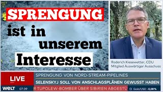 Kiesewetter CDU Nord StreamSprengung ist in unserem Interesse [upl. by Lateehs]