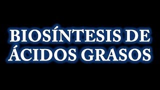 Biosíntesis de Ácidos Grasos [upl. by Eidnam]