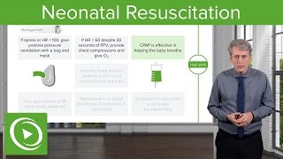 Neonatal Resuscitation Overview amp Apgar Score – Pediatrics  Lecturio [upl. by Einneb]