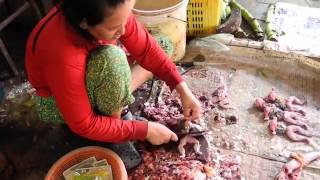 Cambodia  Siem Reap  Market With Food Frogs [upl. by Kelson]