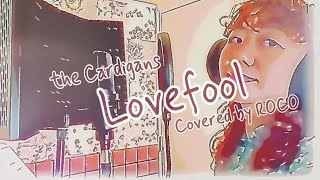 【カバー】Lovefoolラブフール  The Cardigansカーディガンズ Covered by ROCO [upl. by Earised]