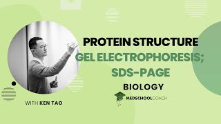 Gel Electrophoresis and SDSPAGE [upl. by Niatsirt157]