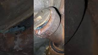 The Dangers of an Open Sewer Line Cap [upl. by Aland943]