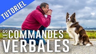 PARLER à son CHIEN avec des COMMANDES VERBALES [upl. by Victor]