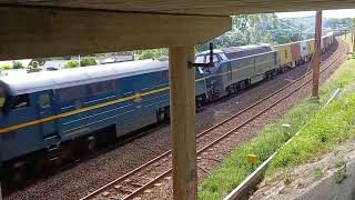 7 Juni 2024 Viking Rail MX 1029 godstog [upl. by Arnoldo874]