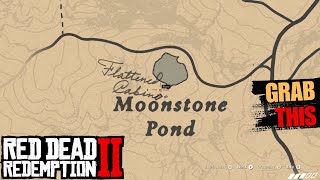 You Visited This Place at least Once But Forgot to Grab This  Red Dead Redemption 2 [upl. by Bradwell]