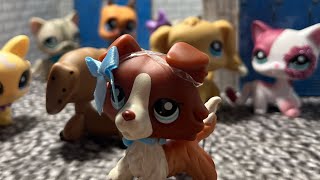 LPS series The new girl Episode 1 The start [upl. by Cave]