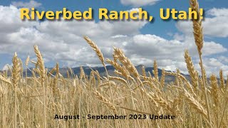 Offgrid Community Update Riverbed Ranch Utah  August amp September 2023 [upl. by Nalniuq562]