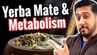 Yerba Mate for Beginners  Does Yerba Mate Promote Visceral Fat Loss [upl. by Noemi545]