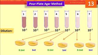 Agar plate countLab 13 [upl. by Cutler434]