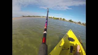 Kayak fishing Maroochy River [upl. by Aimat]