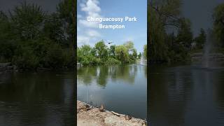 Chinguacousy Park Brampton brampton park naturelovers [upl. by Weinstein]