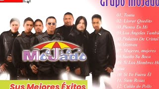 Los Mejores éxitos del Grupo Mojado Mix [upl. by Eimaraj]