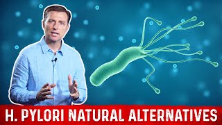 6 Natural Remedies of Helicobacter Pylori – Dr Berg on H Pylori [upl. by Anallese]