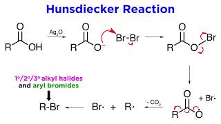 Hunsdiecker Reaction [upl. by Ellerd]