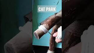 DIY Cómo hacer un PARQUE para GATOS con un TRONCO 😼 How to make a CAT PARK crafts cats pets diy [upl. by Biddy157]