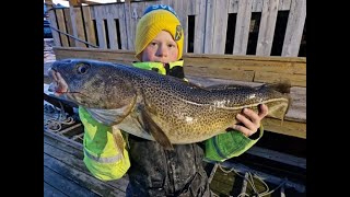 Skreitorsk i Lofoten  Team Hugg jr Första dagarna [upl. by Camella]