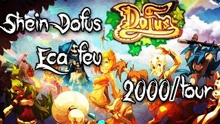 DOFUS Les personnages busay  Ecaflip Feu  2000tour 3 [upl. by Tristis]