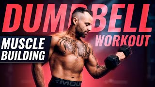 CHEST BACK amp TRICEPS  Dumbbell Muscle Building Workout [upl. by Ainolopa673]