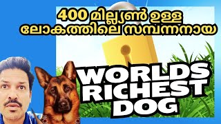 worlds richest dog gunther ലോകത്തിലെ ഏറ്റവും സമ്പന്നനായ ഡോഗ്  gunther dog millionaire gunther [upl. by Naejeillib]