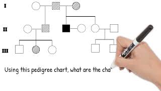 Pedigree Charts Short Simple Science [upl. by Sirah]