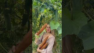 Harvest with me backyardhomestead growyourownfood homegrown backyardgardening harvest [upl. by Suoivatram]