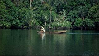 In der Hängematte auf dem Amazonas Doku [upl. by Juakn776]