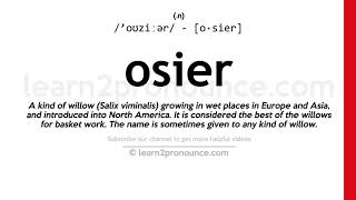 Pronunciation of Osier  Definition of Osier [upl. by Ellocin760]