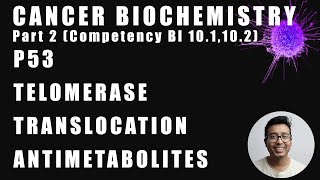 Cancer Biochemistry Lecture Part 2  p53 Telomerase antimetabolites and chromosomal translocation [upl. by Hgielrac]