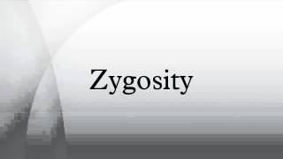 Zygosity [upl. by Cherice532]