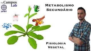 Metabolismo Secundário 14 Introdução [upl. by Kera]