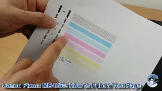 Canon Pixma MG4250 How to Print a Nozzle Check Test Page [upl. by Emeric]