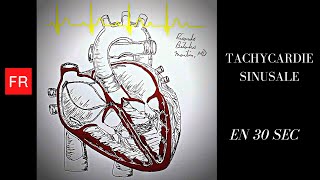 Arythmies animation cardiaque et ECG  Tachycardie Sinusale Shorts [upl. by Lein]