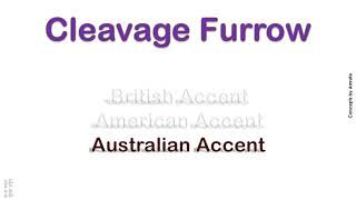 Cleavage Furrow How to Pronounce Cleavage Furrow in Australian British American Accent [upl. by Eugirne639]