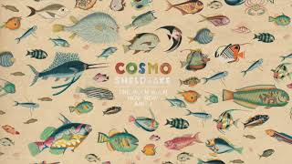 Cosmo Sheldrake  Wriggle Instrumental [upl. by Anaahs]