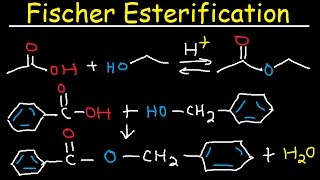 Fischer Esterification Reaction Mechanism  Carboxylic Acid Derivatives [upl. by Cyprian9]