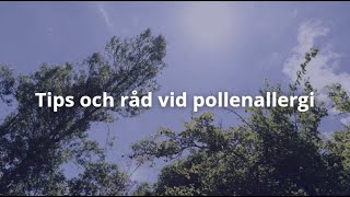 Pollen bäst i test 2024 Tips och råd [upl. by Zerep701]