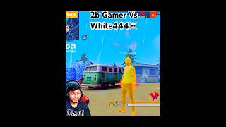 2b gamer vs White444🍷☠️2bgamer white444 nonstopgaming freefire shortsfeed foryou fypシ゚viral [upl. by Feingold13]