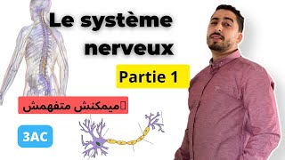 3AC  Le système Nerveux  Partie 1  أحسن و أبسط شرح ✅ [upl. by Lessig]