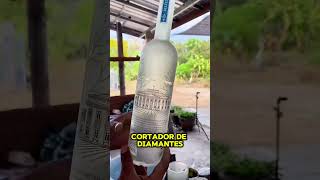 Transformando garrafas de cerveja GRATUITAS em DINHEIRO shortsfeed viralvideo [upl. by Enneirb]