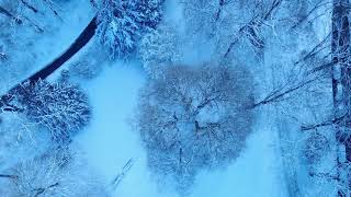 4K Landscape Winter Aachen  DJI Mavic Air [upl. by Vassell28]