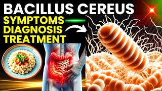 Bacillus Cereus Understanding Food Poisoning from Reheated Rice [upl. by Yesnil]