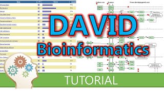 Hox Gene I Homeodomain Proteins I Homeobox Gene I Developmental Biology by Saqib jawad [upl. by Doscher]